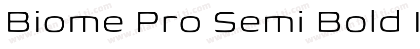 Biome Pro Semi Bold Italic字体转换